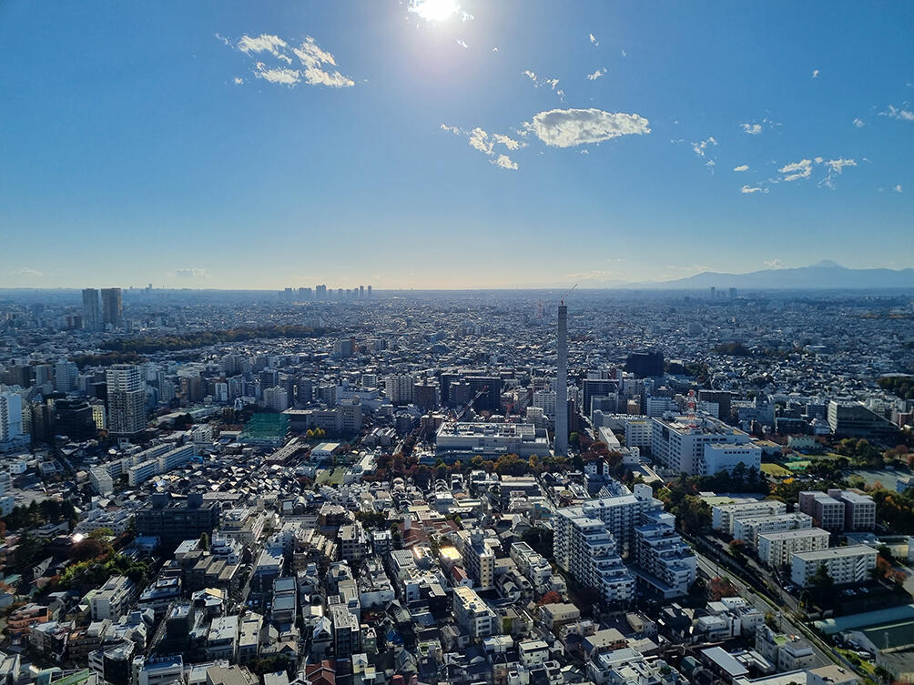 Tokyo ville densément étalée.jpg